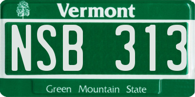 VT license plate NSB313