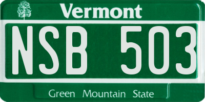 VT license plate NSB503