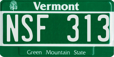 VT license plate NSF313