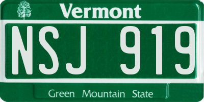 VT license plate NSJ919
