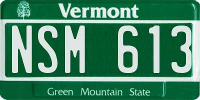 VT license plate NSM613