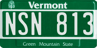 VT license plate NSN813