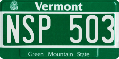 VT license plate NSP503