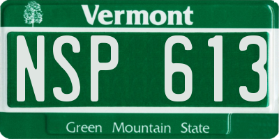 VT license plate NSP613