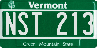 VT license plate NST213