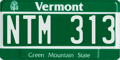 VT license plate NTM313