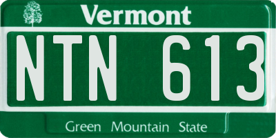 VT license plate NTN613