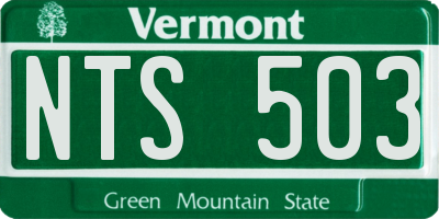 VT license plate NTS503