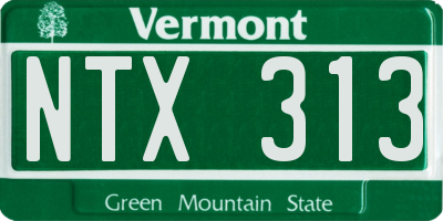 VT license plate NTX313