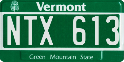 VT license plate NTX613