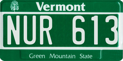 VT license plate NUR613