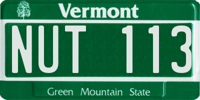 VT license plate NUT113