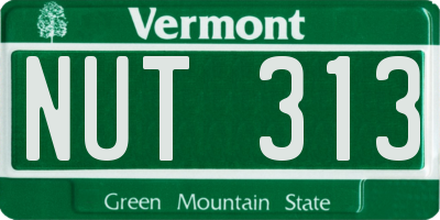 VT license plate NUT313