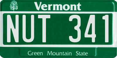 VT license plate NUT341