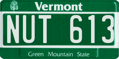 VT license plate NUT613