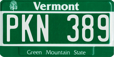 VT license plate PKN389