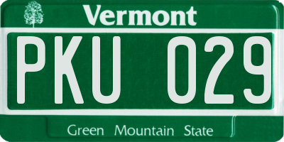 VT license plate PKU029