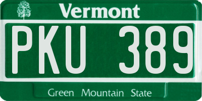 VT license plate PKU389