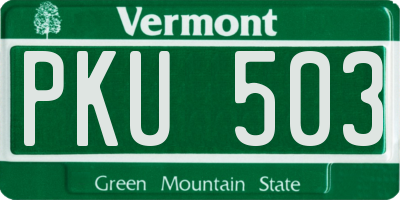 VT license plate PKU503