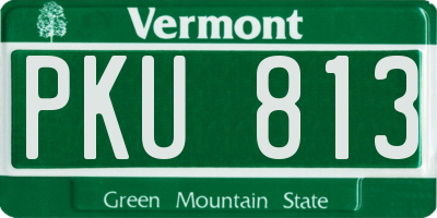 VT license plate PKU813