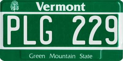 VT license plate PLG229