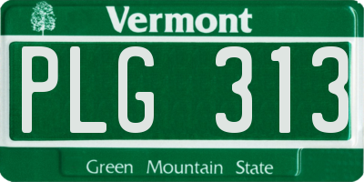 VT license plate PLG313