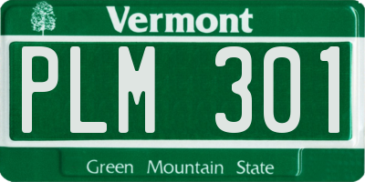 VT license plate PLM301