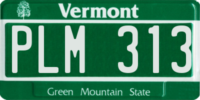 VT license plate PLM313