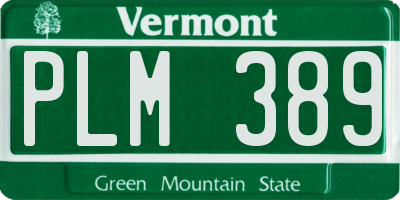 VT license plate PLM389