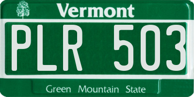 VT license plate PLR503