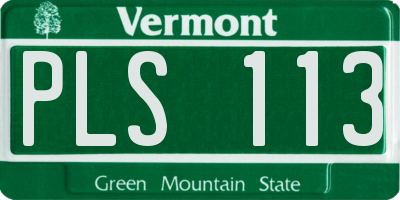 VT license plate PLS113