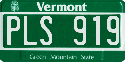 VT license plate PLS919