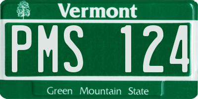 VT license plate PMS124