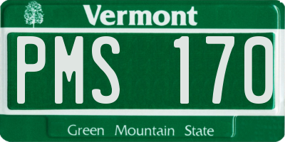 VT license plate PMS170