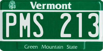 VT license plate PMS213