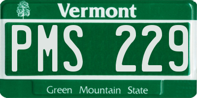 VT license plate PMS229