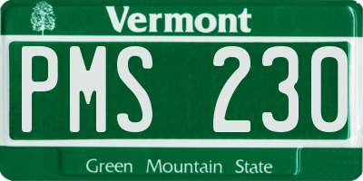 VT license plate PMS230