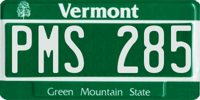VT license plate PMS285