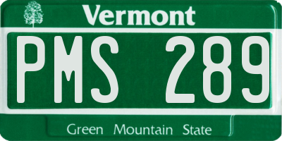 VT license plate PMS289