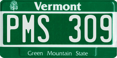 VT license plate PMS309