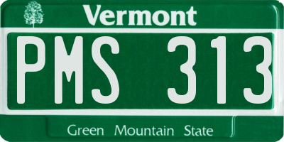 VT license plate PMS313