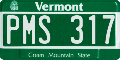 VT license plate PMS317