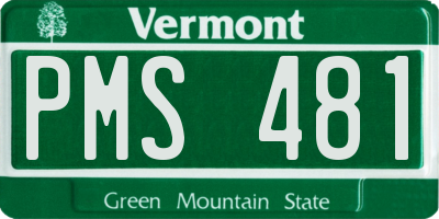 VT license plate PMS481