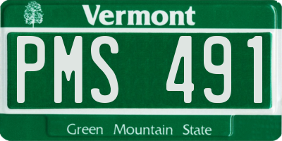 VT license plate PMS491