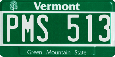 VT license plate PMS513