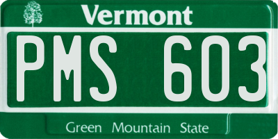 VT license plate PMS603