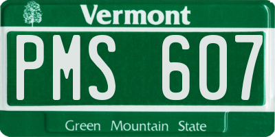 VT license plate PMS607