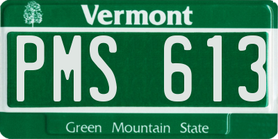 VT license plate PMS613