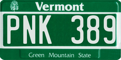 VT license plate PNK389