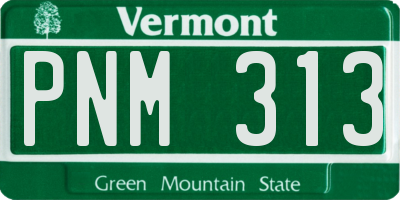 VT license plate PNM313